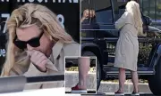 Britney Spears Spotted with Bruises After Chaotic Restaurant Incident