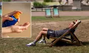 Britons Urged to Protect Skin as Scorching Bank Holiday Weekend Looms