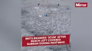 Brits branded 'scum' after Weymouth Beach left covered in nappies and rubbish