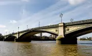 Bus Driver Critical After Assault on London's Battersea Bridge