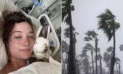 California Woman Paralyzed After Massive Tree Branch Falls on Her During Windstorm