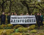 Campaign to Double England's Temperate Rainforest on Dartmoor