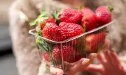 Cancer-Linked Chemicals Found in Driscoll's Strawberries, Investigation Reveals