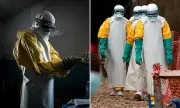 CDC Mobilises Global Response to Ebola Outbreak in Africa After US Exposures