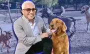 Cesar Millan's AI Dog Collar: $524 High-Tech Tool for Pet Owners