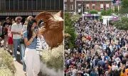 Chelsea Flower Show 'awful' and overcrowded, critics demand revamp