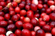 Cranberry Juice Could Boost Antibiotics Against Drug-Resistant Bacteria