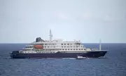 Crew Member Hospitalised After Testing Positive for Hantavirus on 'Rat Virus' Cruise Ship