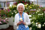 Dame Mary Berry to Receive Bafta Fellowship for TV Contribution