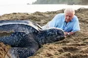 David Attenborough at 100: How He Revolutionised Our View of Nature