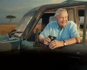 David Attenborough's 100th Birthday TV Special Tonight