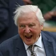 David Attenborough's Hidden Talents Revealed by Producer on His 100th Birthday
