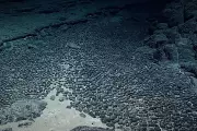 Deep-Sea Mining Surge: US Firms Race to Seabed Minerals