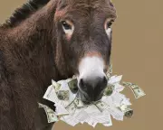 Democrats' Tax-Cut Strategy Risks Undermining Shared Prosperity in US