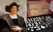 DNA Study Suggests Columbus Had Spanish Noble Roots, Not Italian