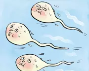 Do Saunas Reduce Sperm Count? Expert Says Minimal Effect