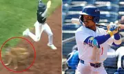Dodgers Prospect Kendall George Injured in Freak Bat Dog Collision