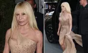 Donatella Versace Stuns in Gold Gown at Anna Wintour's Pre-Met Gala Party