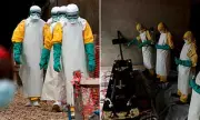 DR Congo Ebola Outbreak Kills Over 60, Hundreds Suspected