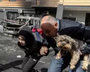 Drone Attacks Hit Kyiv Amid Swallow Nestling Photos