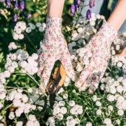 Eight Essential May Gardening Jobs for Colourful Summer Blooms