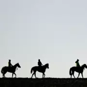 Ex-Trainer's Father 'Disregarded Regulations' in Fatal Horse Walker Incident