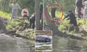 Family Fends Off Rabid Beaver After It Bites Boy at New Jersey Lake