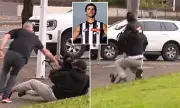 Fan tackled at Collingwood training over Pendlebury record ball theft attempt
