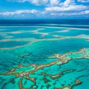 Fatal Shark Attack on Great Barrier Reef Days After Another Death