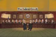 Federal Appeals Court's Cringeworthy 'Schoolhouse Rock' Video Goes Viral