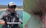 Filmmaker’s Terrifying Encounter: Great White Shark Bites Camera Off California Coast