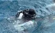 Final Two Italian Divers' Bodies Recovered in Maldives Cave Tragedy