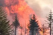 Firefighters Battle Wildfire in Pentland Hills Near Edinburgh