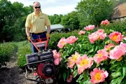 Five Gardening Myths Debunked That Could Ruin Your Plants