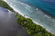 Five Italian Divers Die in Maldives Underwater Cave Expedition