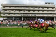 Friday Horse Racing Tips: Best Bets for Haydock, Goodwood, and Worcester