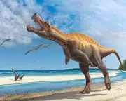Germany to Return Irritator Dinosaur Skull to Brazil After Long Campaign