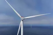 Global Offshore Wind Industry by the Numbers Amid US Setbacks