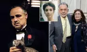 Godfather Sequel Connie in Development, Female-Led Story