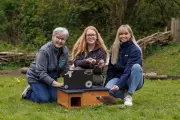 GPS Tracking Project for Hedgehogs Launched in Northern Ireland