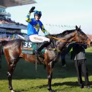 Grand National Winner Auroras Encore Dies at 23, Tributes Pour In