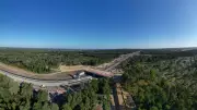 Green Bridge to Help UK Wildlife Cross Motorways Safely