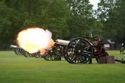 Gun Salute Marks King's Coronation Anniversary After Duckling Rescue