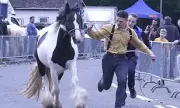 Hampshire Village Braces for 750-Year-Old Wickham Horse Fair