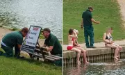 Hampstead Heath Rangers Install 'No Swimming' Signs to Protect Bird Sanctuary
