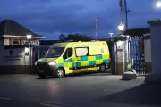 Hantavirus Evacuation: Irish Passengers Return Home on Government Jet