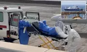Hantavirus Outbreak on Cruise Ship: Experts Explain Deadly Spread