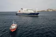 Hantavirus Outbreak on Cruise Ship Linked to Bird-Watching Trip