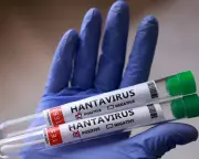 Hantavirus Outbreak on Cruise Ship Puts Argentina Back in Spotlight