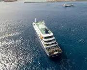 Hantavirus Outbreak on Cruise Ship: Three Dead, WHO Confirms